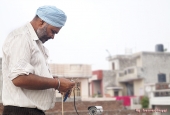 IIP Online Student Photography